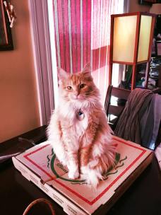 11178199_714637908343_7954891037676995656_n