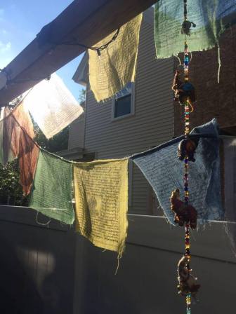 13718624_779015894343_7066576146201366720_n