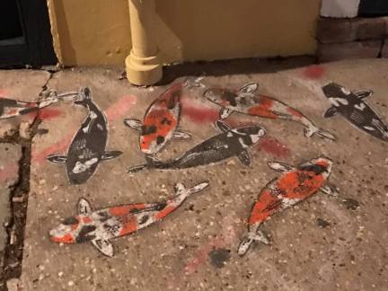 15590377_636840179820553_4295255623569175851_n