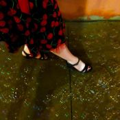 27973293_158565354799513_4935476658415074901_n